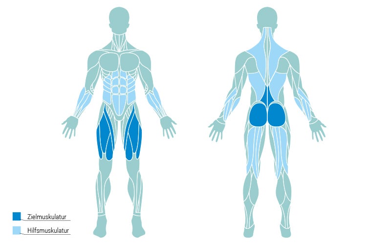 Muscle Map Deadlift