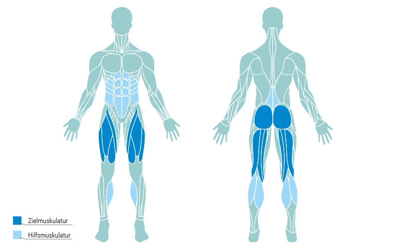 Muscle Map Squat